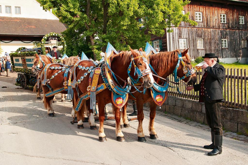 Ferienwohnung Cornelia Bad Birnbach Dış mekan fotoğraf
